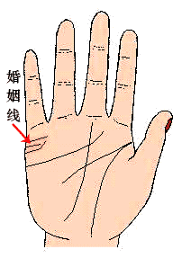 婚姻线